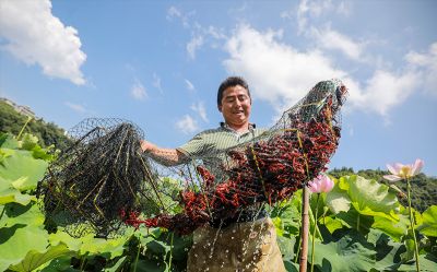 被授予湖北省農業產業化重點龍頭企業